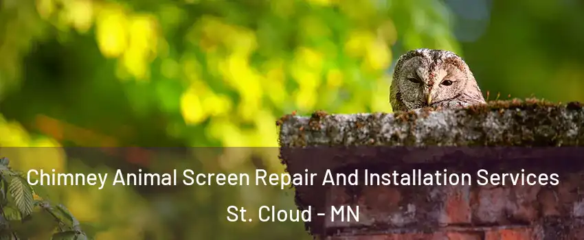  Chimney Animal Screen Repair And Installation Services St. Cloud - MN