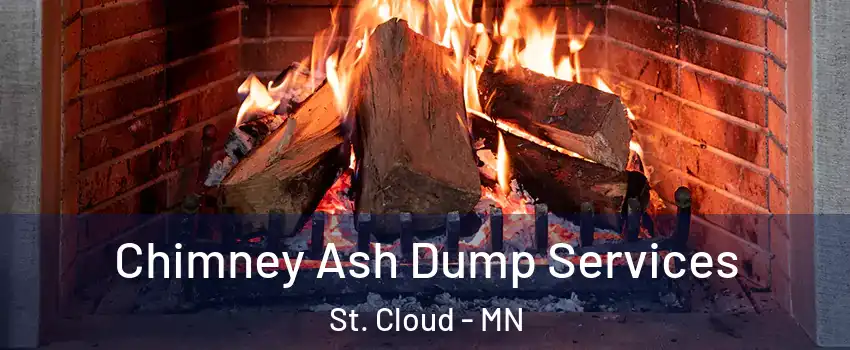  Chimney Ash Dump Services St. Cloud - MN
