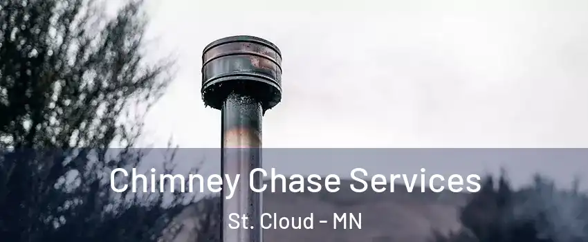  Chimney Chase Services St. Cloud - MN