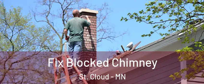  Fix Blocked Chimney St. Cloud - MN