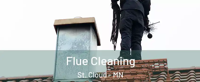  Flue Cleaning St. Cloud - MN