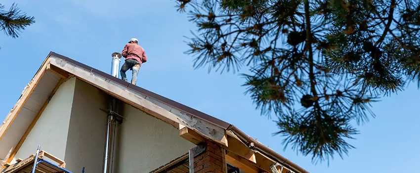 Birds Removal Contractors from Chimney in St. Cloud, MN