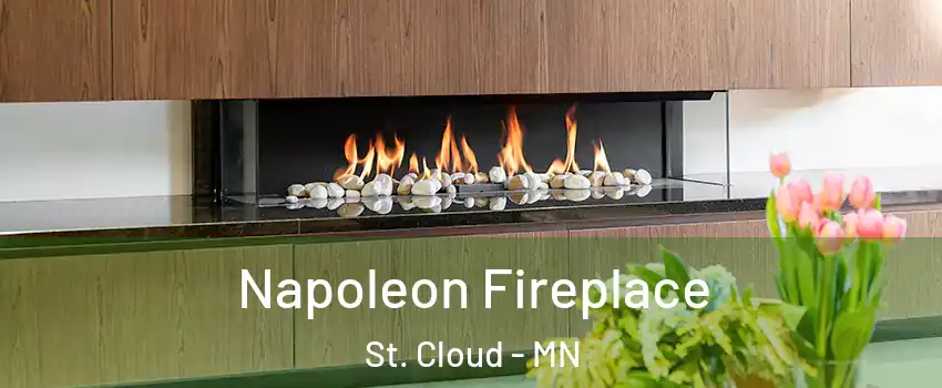  Napoleon Fireplace St. Cloud - MN